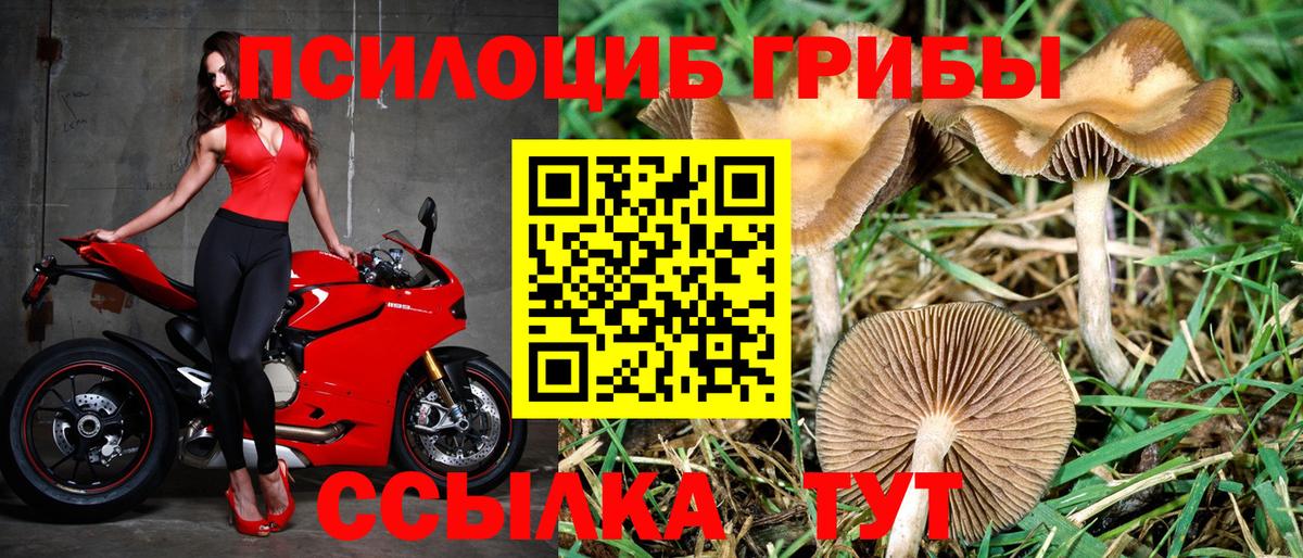 Галлюциногенные грибы мицелий Реж